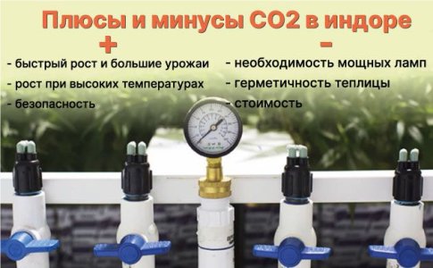 Углекислый газ для конопли