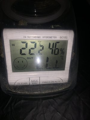 E0D8D40B-71AB-47BF-83F4-869BA76914E2.jpeg