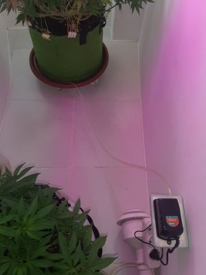 20221026_090854.jpg