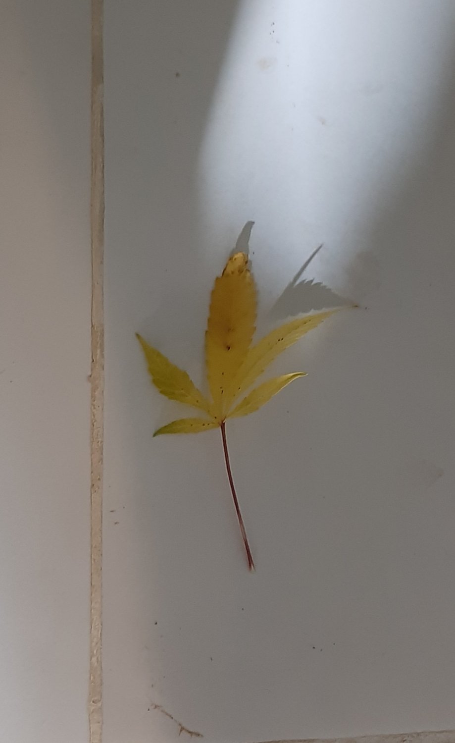 20221027_110313.jpg