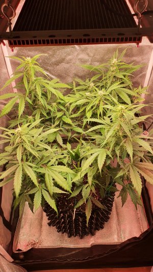 20221030_213529.jpg