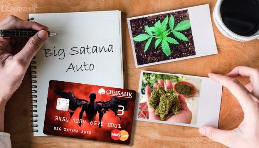 big-satana-auto__5ijgxn59RHVhPKMs.jpg