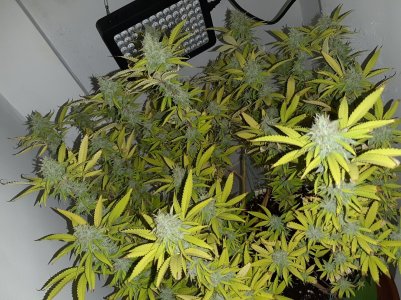 20221104_132356.jpg