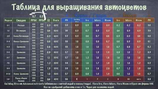 EDE71E45-C2AA-49DE-9C35-F5A4AF48C90E.jpeg
