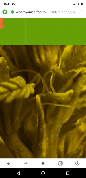 S21123-154108.png