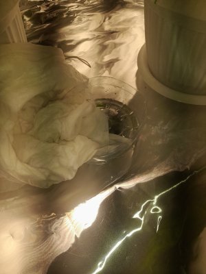 20221125_221230.jpg