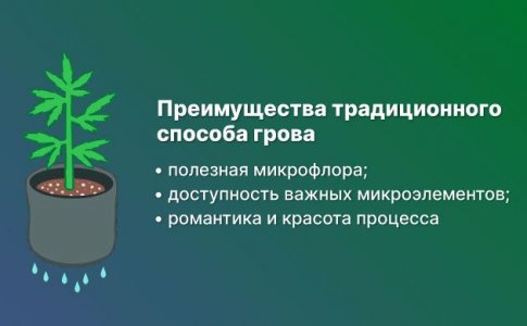 Разница между гидропоникой и почвой