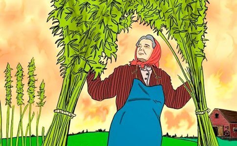 История технической конопли История технической конопли