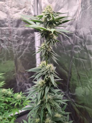 20221207_184036.jpg