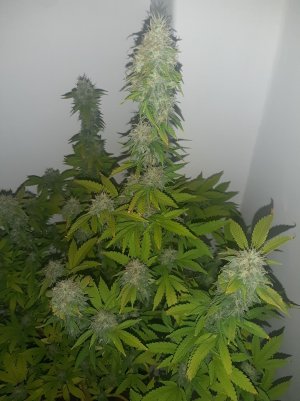 20221213_132753.jpg