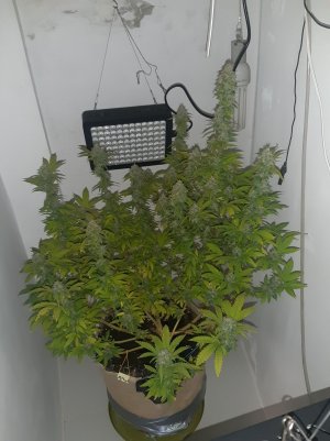 20221214_103446.jpg