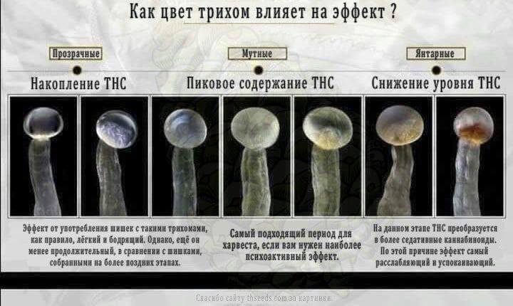 C22C08D5-5F31-445E-9289-E5CAE42BC1AD.jpeg C22C08D5-5F31-445E-9289-E5CAE42BC1AD.jpeg