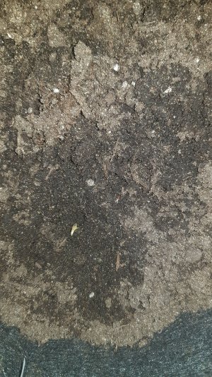20221224_110541.jpg