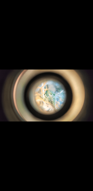 S21227-105429.png