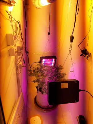 20221229_081526.jpg