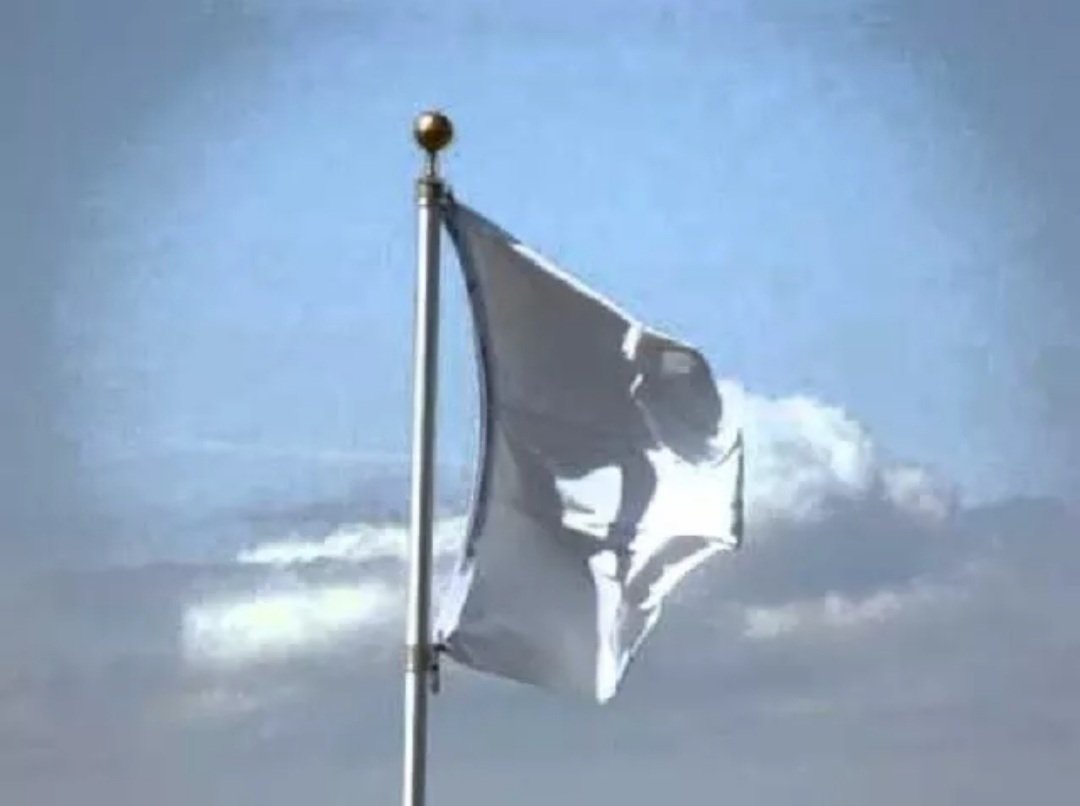 20230102_231311.jpg