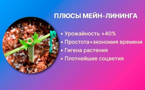 Что дает техника Мейн-Лининг