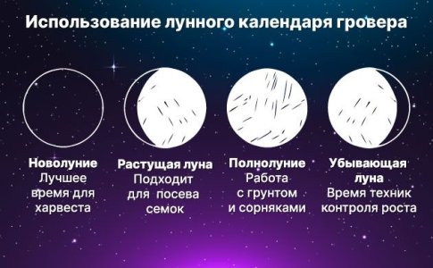 Выращивание конопли по лунному календарю гровера