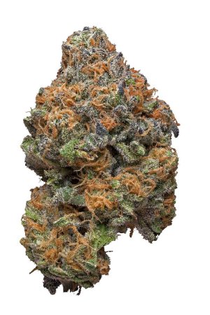 grape ape.jpg