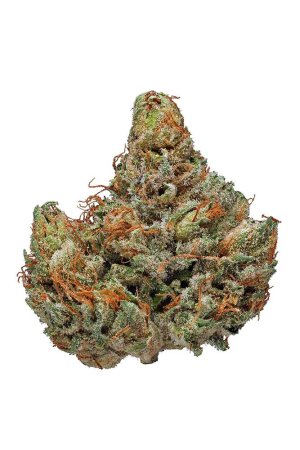 Master-Kush.jpg