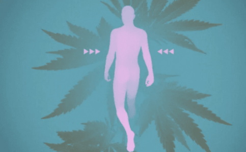 1673891253637.png 1673891253637.png