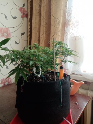 IMG_20230125_112354.jpg