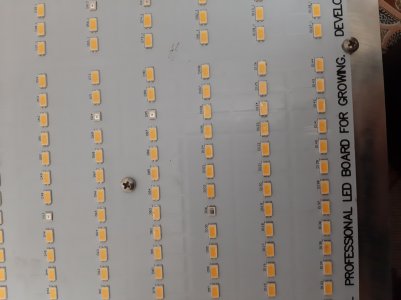 20230209_172250.jpg