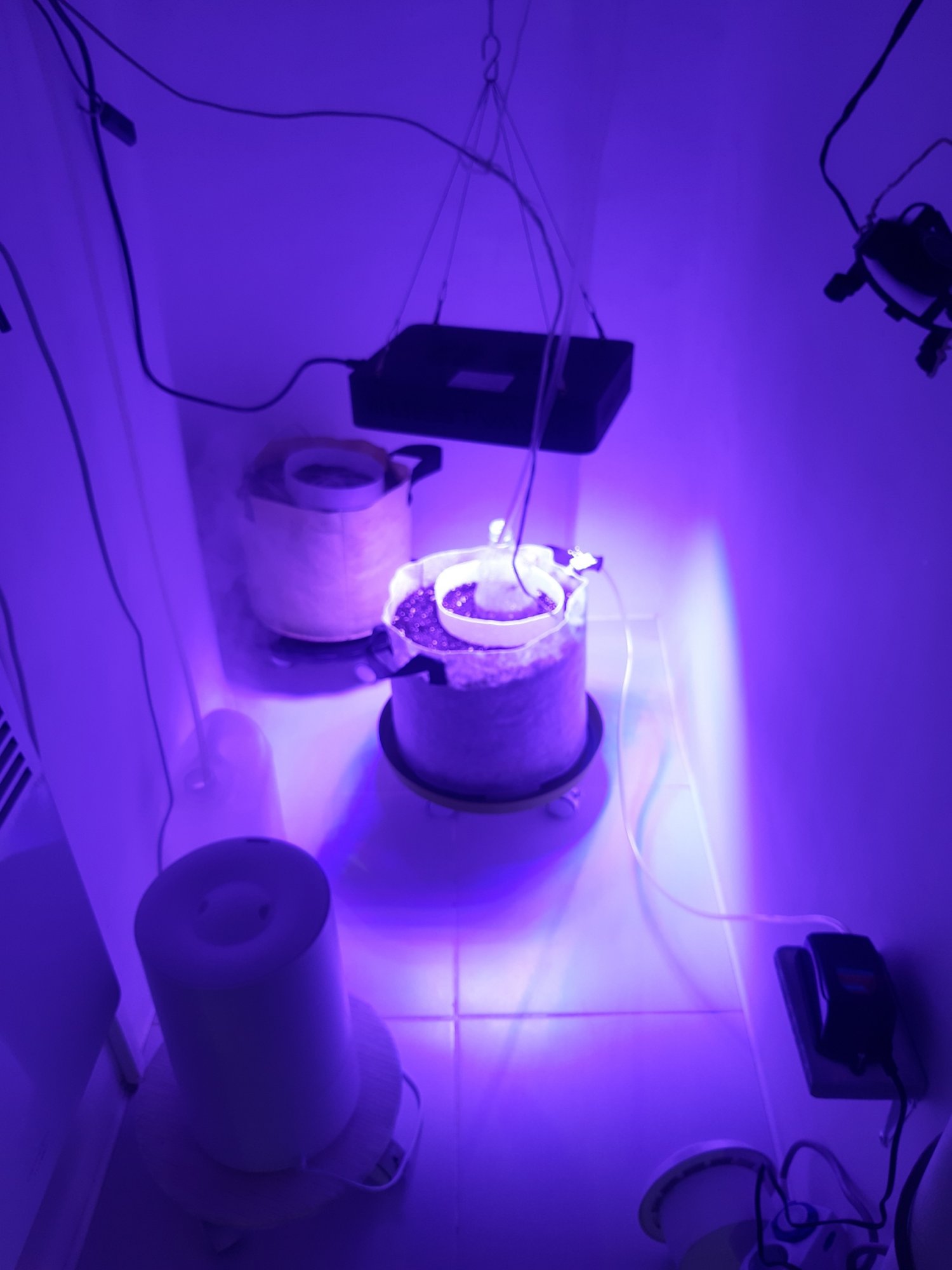 20230413_190148.jpg