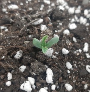 20230414_105119.jpg