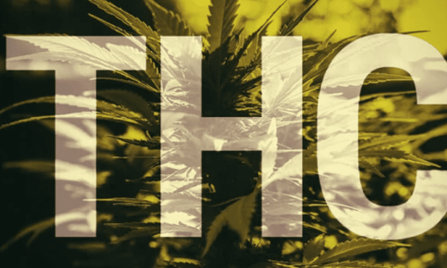 1636483341732.png
