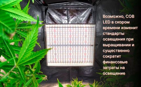 COB LED лампы для выращивания конопли COB LED лампы для выращивания конопли