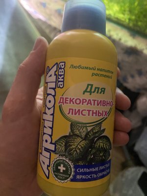 F026FB2A-B9AB-4BEF-91DB-0547D24F3172.jpeg