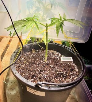 D3CD45F1-6EC7-4103-8C41-BD16102CFD79.jpeg