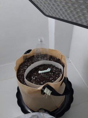 20230428_203034.jpg
