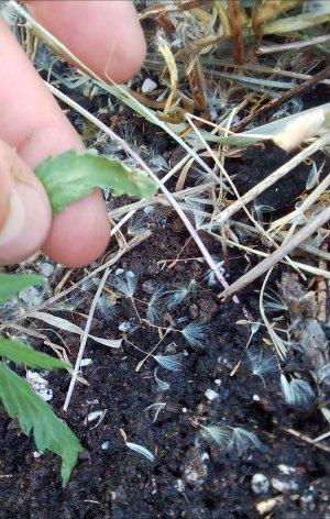 upload_2023_05_24_18_30_02_554.jpg