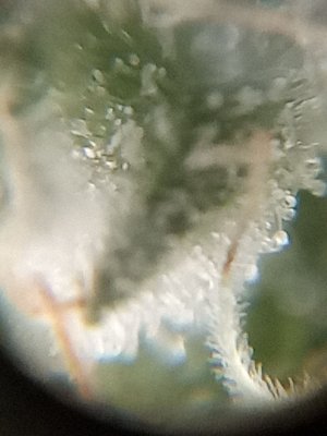 mir_20230526_214656.jpg