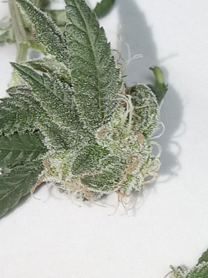 mir_20230526_215122.jpg