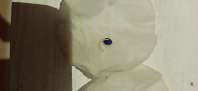 IMG_20230610_221046.jpg