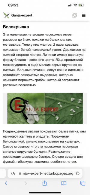 IMG_7221.png