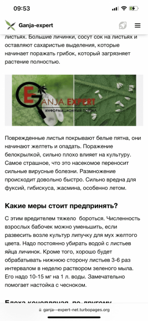 IMG_7222.png