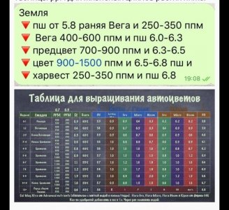 Screenshot_20220804-194933_Browser.jpg