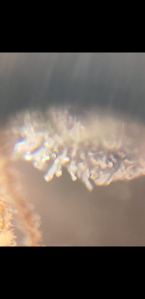 S30701-021053.png