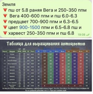 IMG_6463.jpeg