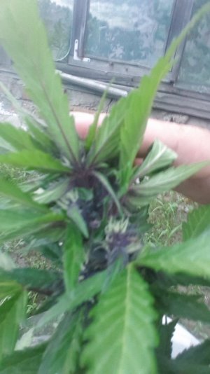 20230717_205837.jpg
