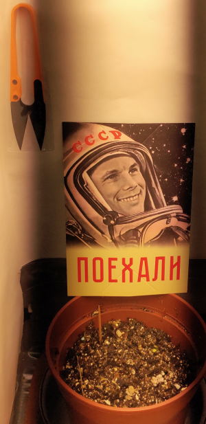 S30728-071610.png