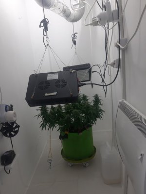 20230728_205402.jpg