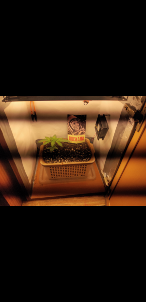 S30811-202956.png