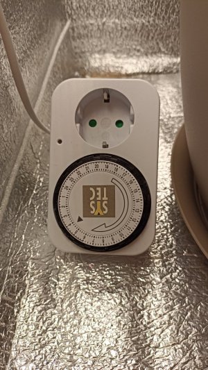 IMG_20230812_110252.jpg