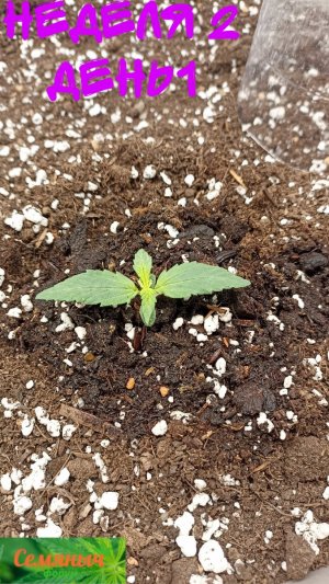 Picsart_23-08-14_08-00-22-928.jpg