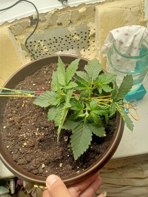 IMG20230821081335.jpg